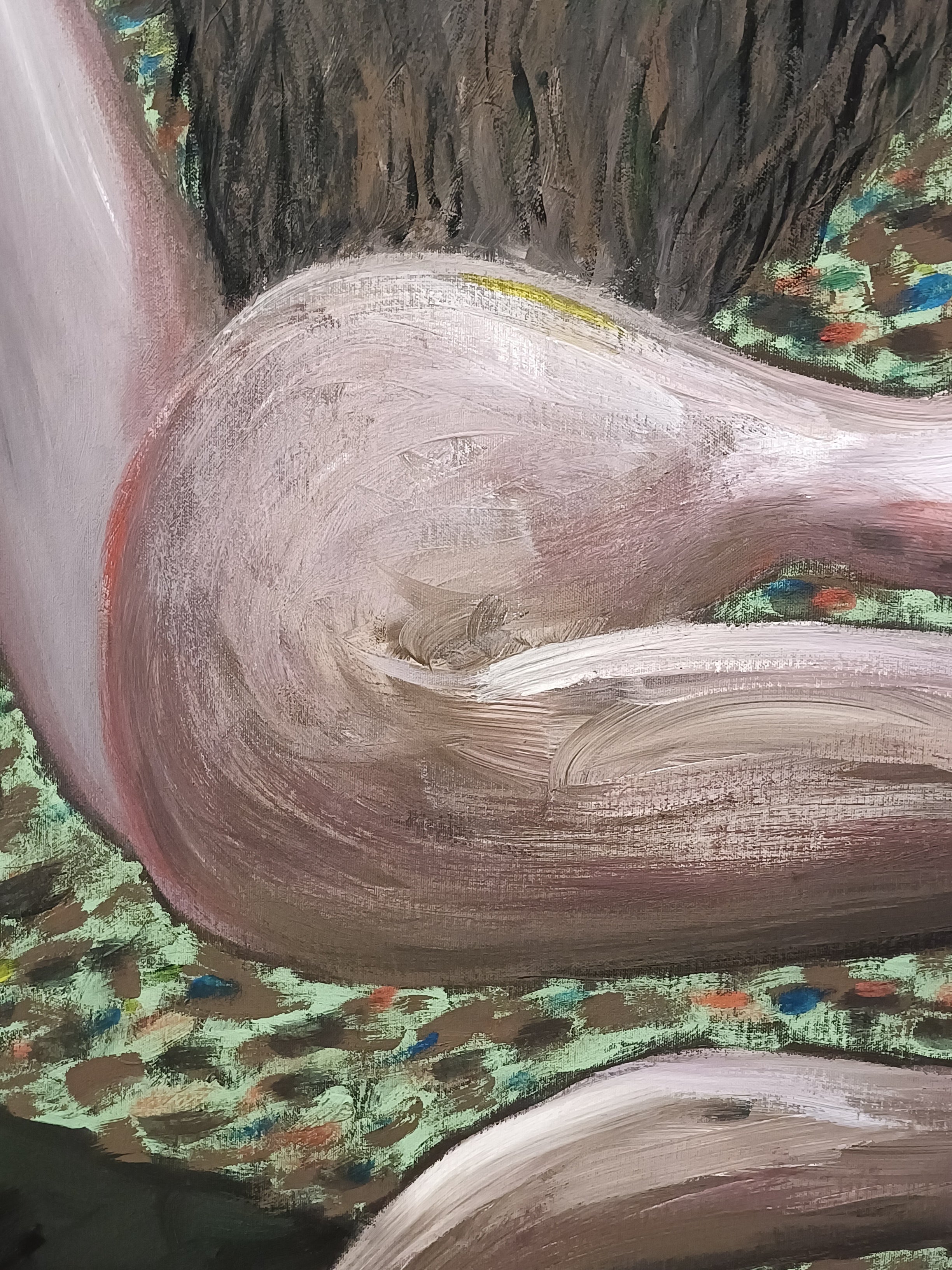 'The Contortionist'